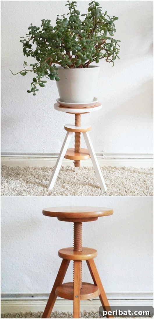 Elevate Your Patio with 10 Easy DIY Plant Stands 11 Repurposed Piano Stool Plant Stand