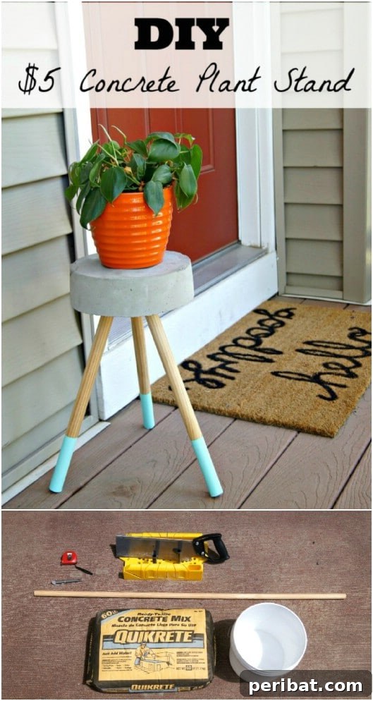 Elevate Your Patio with 10 Easy DIY Plant Stands 4 DIY Cement Top Plant Stand