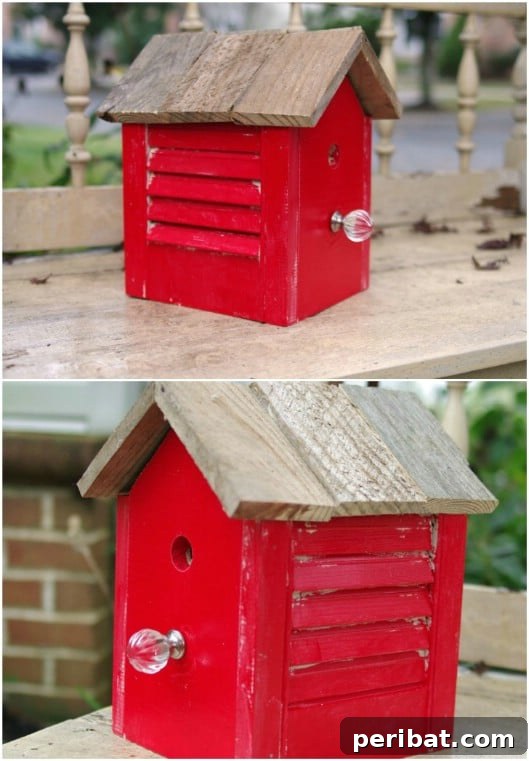 Unlock Rustic Charm: Shutter Repurposing Ideas for Your Home 6 DIY Rustic Shutter Birdhouse for garden decor