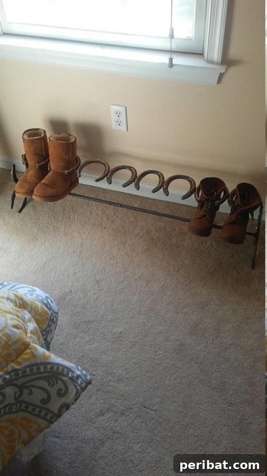 Horseshoe Boot Organizer