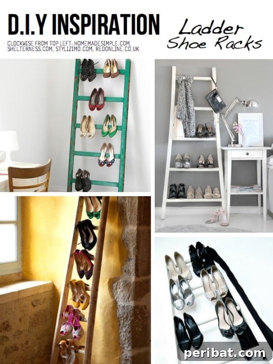 DIY Ladder Shoe Rack