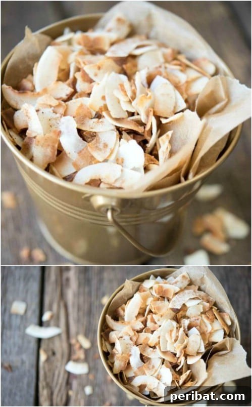 Golden brown toasted coconut chips seasoned with spices