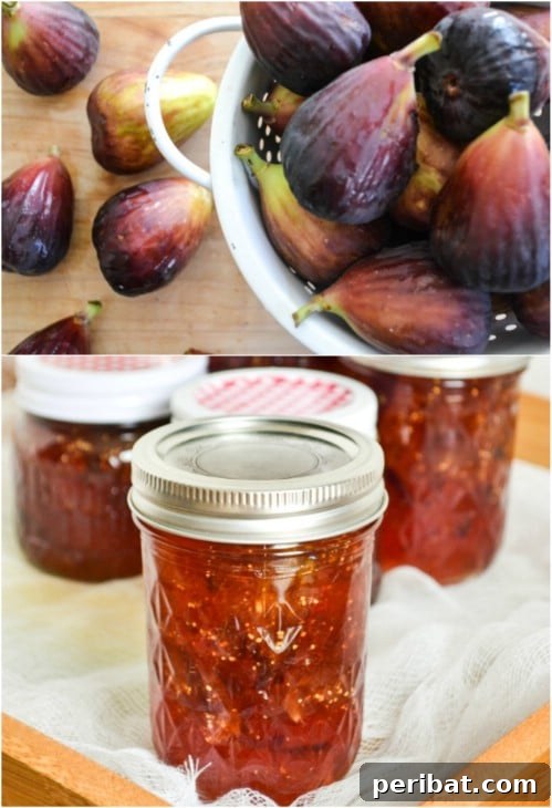 30 Homemade Fruit Jams and Jellies for Delicious Summer Days 11 Homemade Fig Preserves