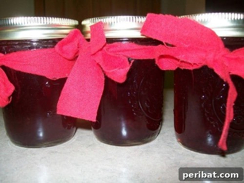 30 Homemade Fruit Jams and Jellies for Delicious Summer Days 13 Homemade Cranberry Crockpot Jam