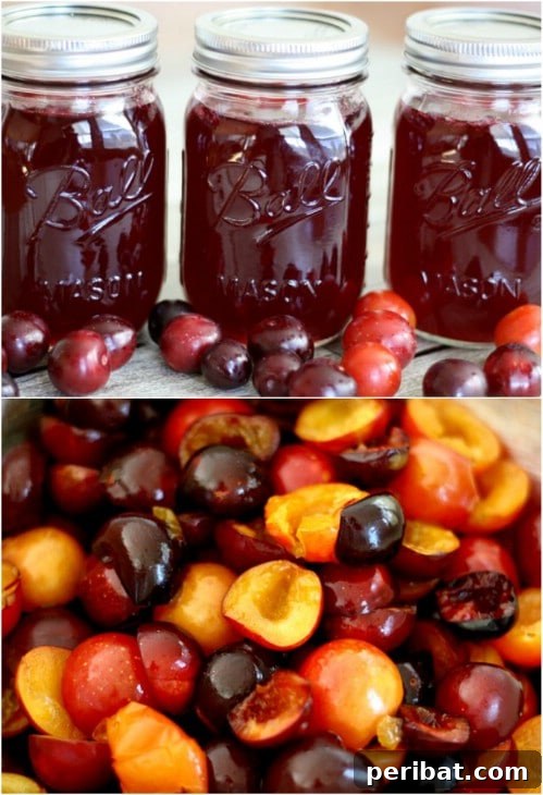 30 Homemade Fruit Jams and Jellies for Delicious Summer Days 14 Tasty Homemade Wild Plum Jelly