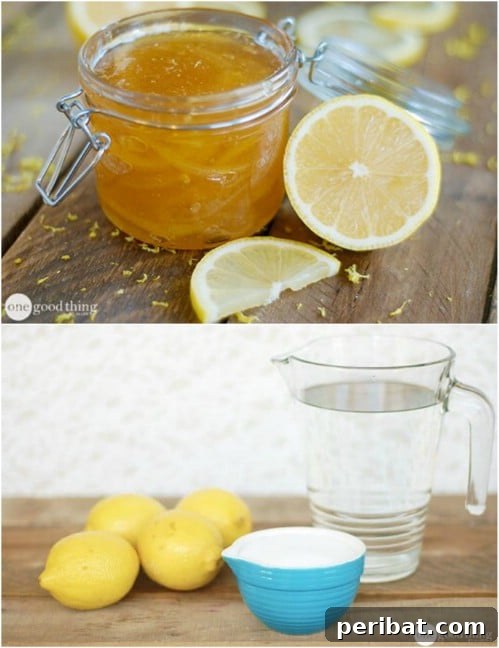 30 Homemade Fruit Jams and Jellies for Delicious Summer Days 15 Homemade Lemon Jam