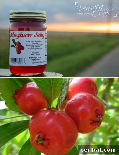 30 Homemade Fruit Jams and Jellies for Delicious Summer Days 16 Mayhaw Jelly