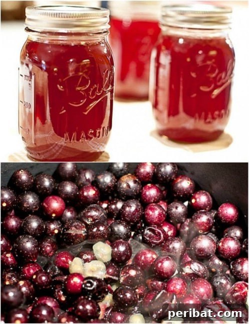 30 Homemade Fruit Jams and Jellies for Delicious Summer Days 17 Easy Homemade Muscadine Jelly