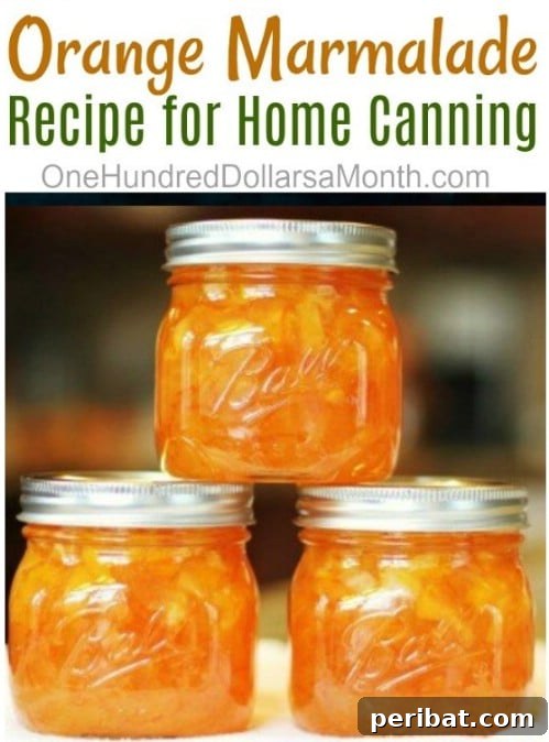 30 Homemade Fruit Jams and Jellies for Delicious Summer Days 18 Homemade Orange Marmalade