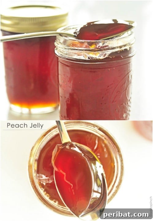 30 Homemade Fruit Jams and Jellies for Delicious Summer Days 19 Easy Peach Jelly
