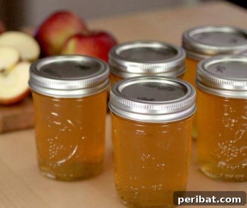 30 Homemade Fruit Jams and Jellies for Delicious Summer Days 3 Homemade Apple Jelly