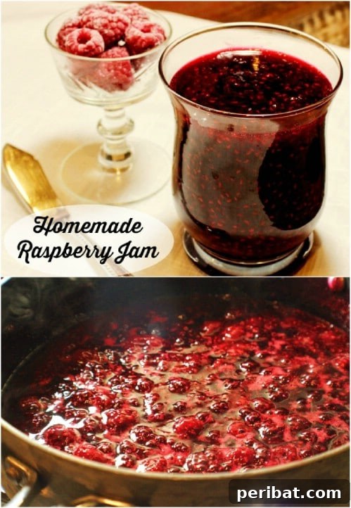 30 Homemade Fruit Jams and Jellies for Delicious Summer Days 21 Simple Two Ingredient Raspberry Jam