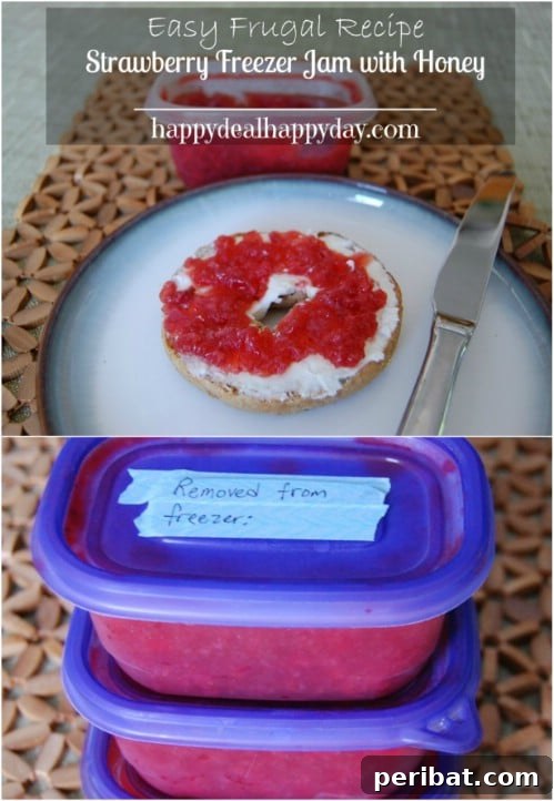 30 Homemade Fruit Jams and Jellies for Delicious Summer Days 23 Strawberry And Honey Freezer Jam