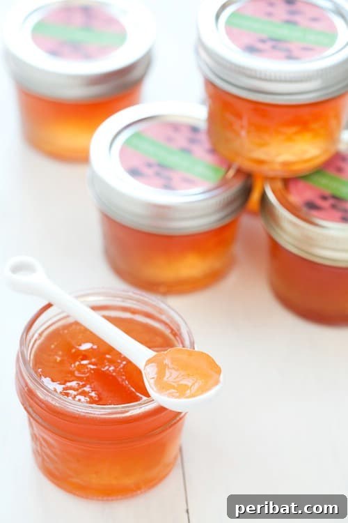 30 Homemade Fruit Jams and Jellies for Delicious Summer Days 25 Watermelon Jelly