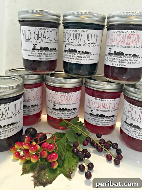 30 Homemade Fruit Jams and Jellies for Delicious Summer Days 26 Wild Berry Jelly