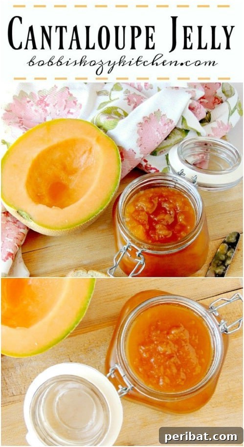 30 Homemade Fruit Jams and Jellies for Delicious Summer Days 27 Homemade Cantaloupe Jelly