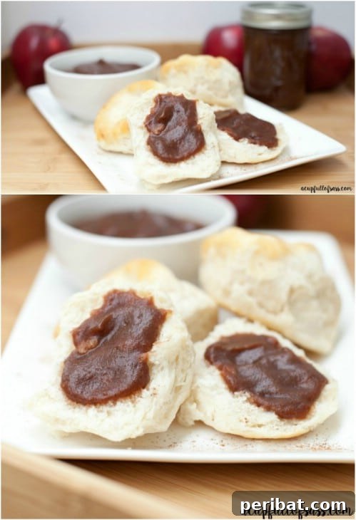 30 Homemade Fruit Jams and Jellies for Delicious Summer Days 4 Easy Homemade Apple Butter