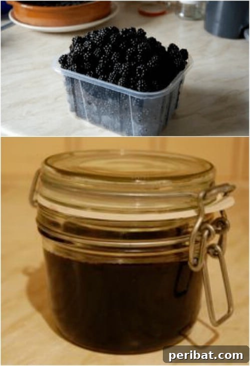 30 Homemade Fruit Jams and Jellies for Delicious Summer Days 5 Yummy Homemade Blackberry Jelly
