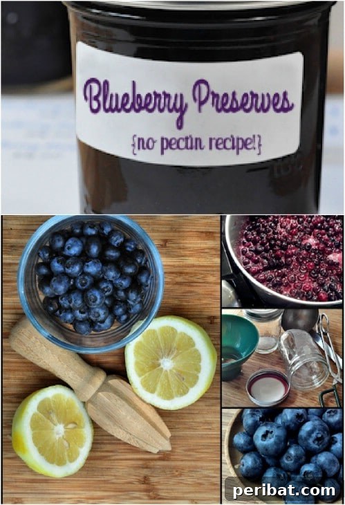 30 Homemade Fruit Jams and Jellies for Delicious Summer Days 6 Simple Homemade Blueberry Preserves