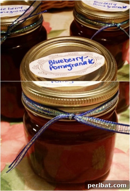 30 Homemade Fruit Jams and Jellies for Delicious Summer Days 7 Bluberry Pomegranate Jelly