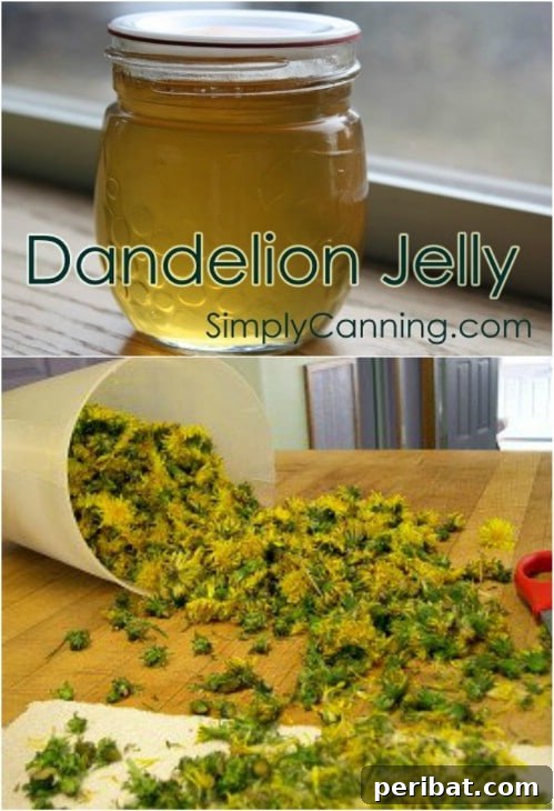 30 Homemade Fruit Jams and Jellies for Delicious Summer Days 8 Old Fashioned Dandelion Jelly