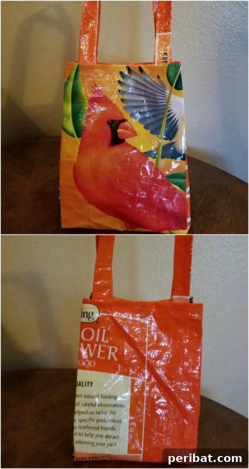 Repurposed Bird Seed Bag Lunch Sack