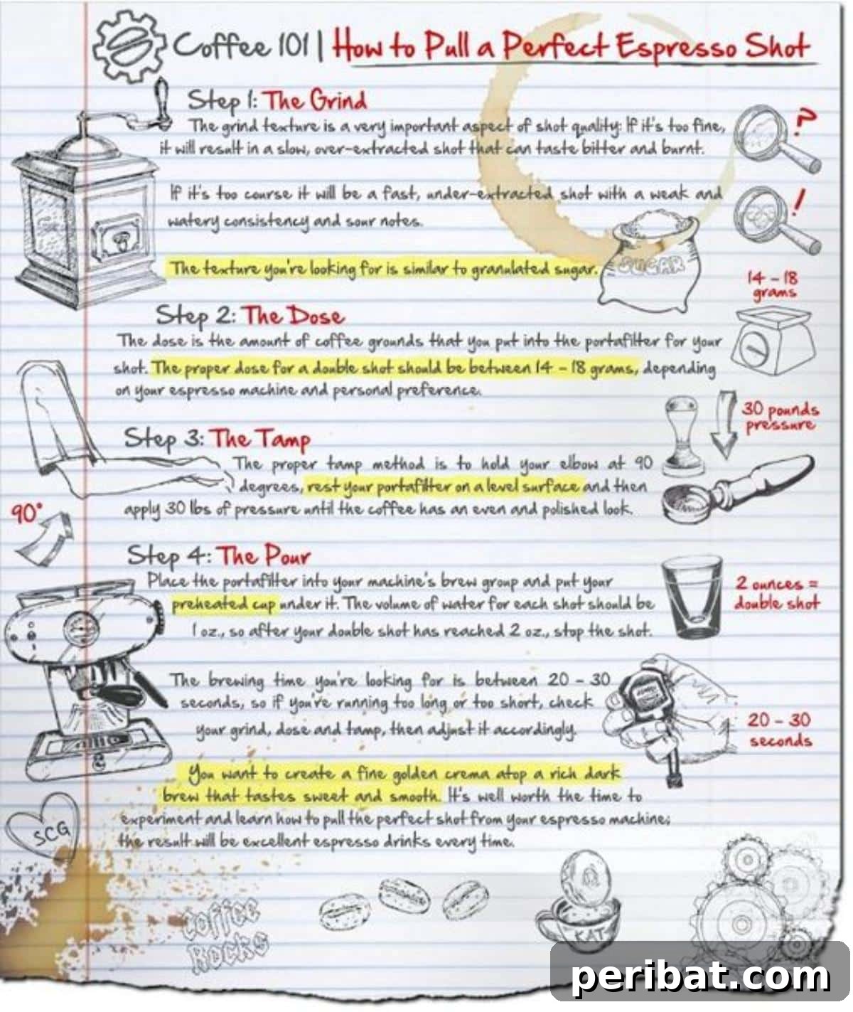 Espresso Shots Guide detailing how to achieve the perfect espresso, including grind, tamp, and extraction tips.
