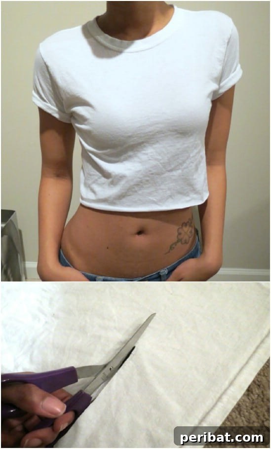 Simple No Sew Crop Tee