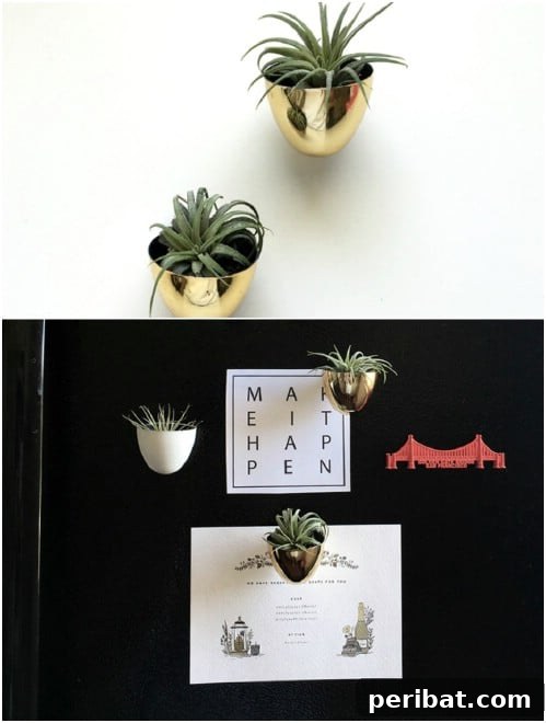 Magnetic DIY Air Planters