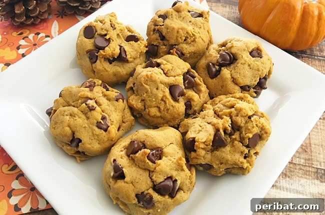 Beyond Pie: Creative Pumpkin Recipes for a Delicious Fall 12 Chocolate chip cookie on white plate