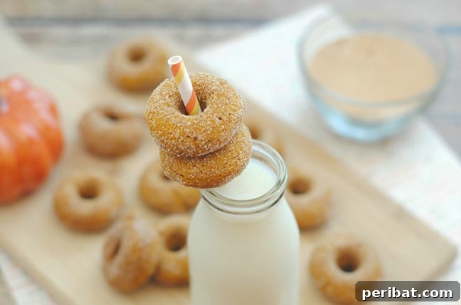Beyond Pie: Creative Pumpkin Recipes for a Delicious Fall 13 Donuts on straw