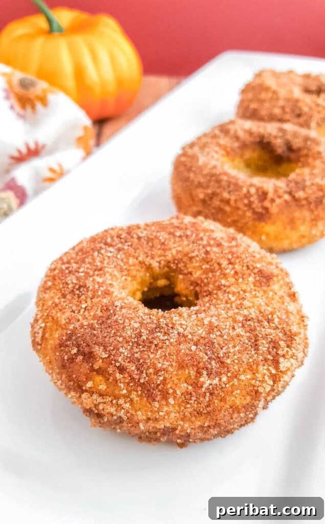 Beyond Pie: Creative Pumpkin Recipes for a Delicious Fall 19 Donuts on white platter