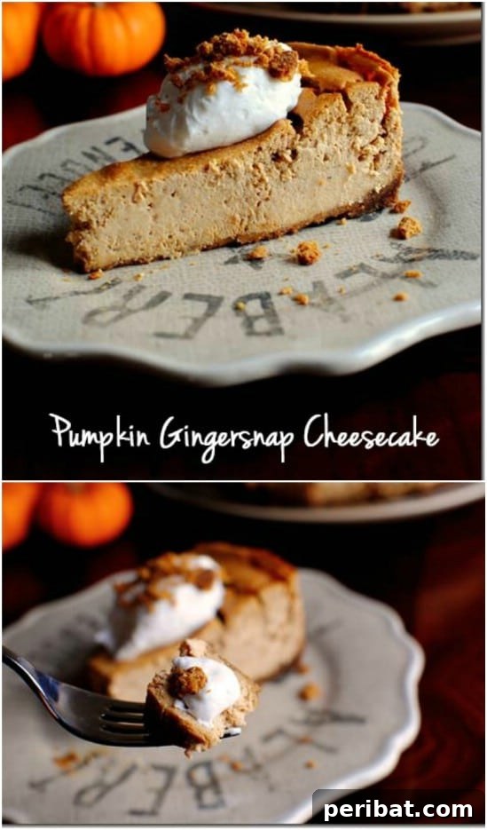 Pumpkin Gingersnap Cheesecake