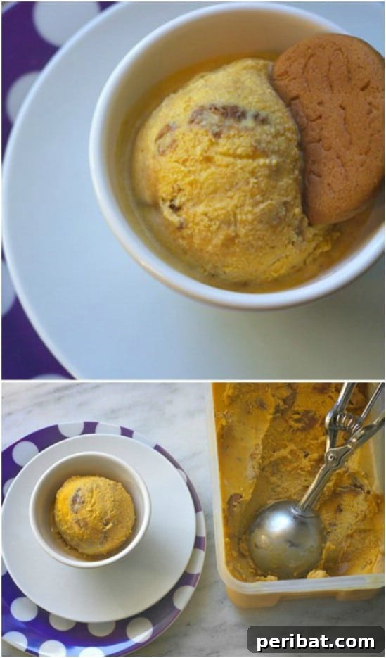 Pumpkin And Gingersnap Ice Cream