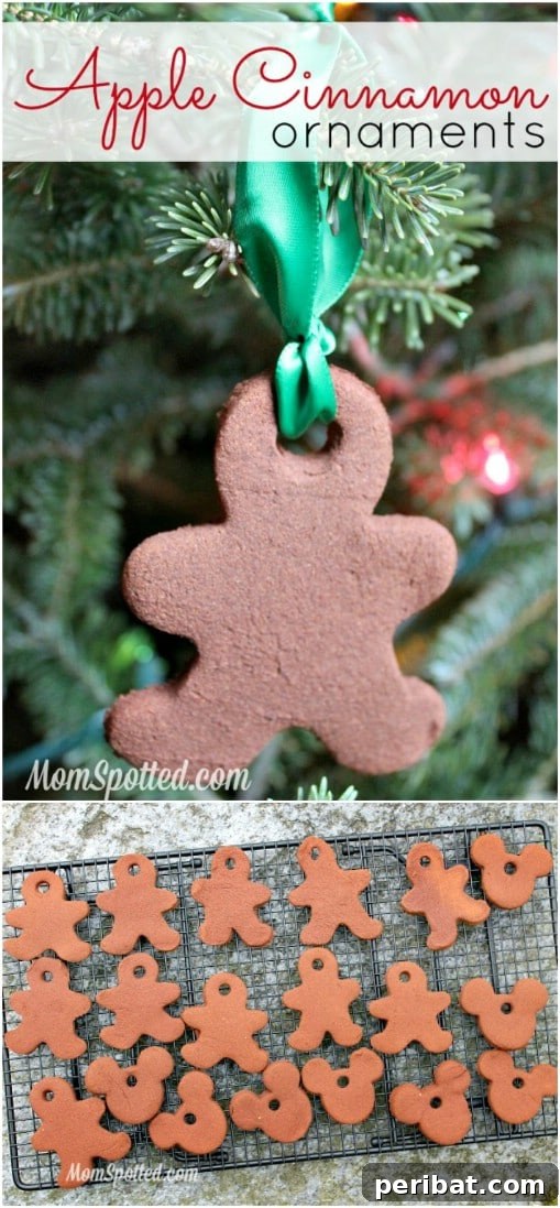 Easy DIY Disney Apple Cinnamon Ornaments