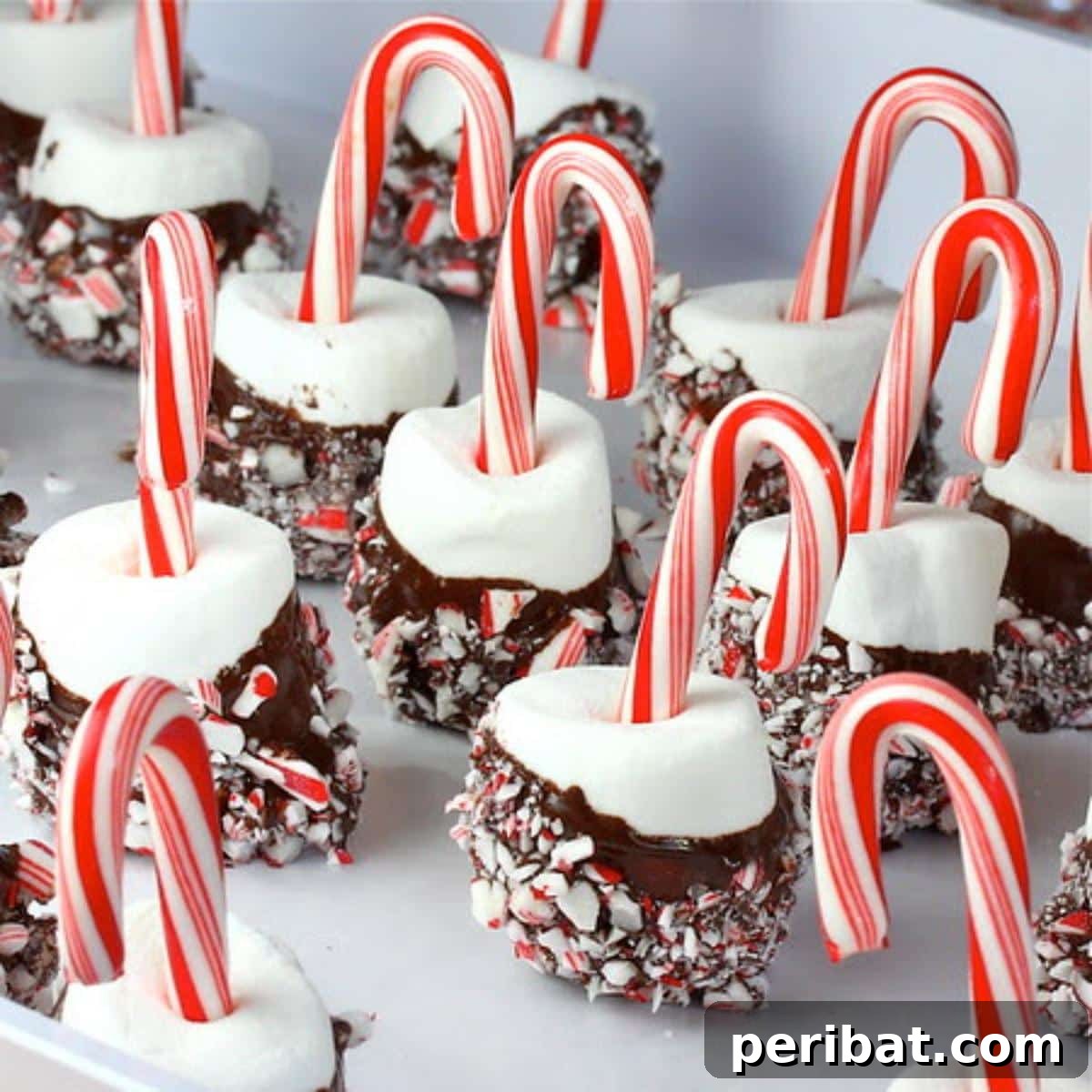 White marshmallows dipped in chocolate, covered with crushed candy canes, and served on candy cane sticks.