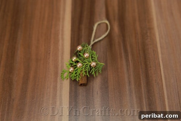 A beautifully completed rustic aromatic Christmas ornament hanging, showcasing its design.