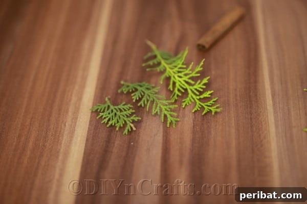 Arranging pine sprigs by size next to a cinnamon stick, ready for assembly.