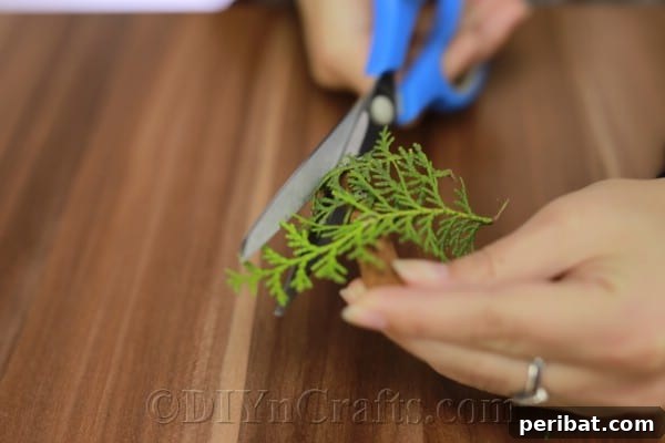 Carefully trimming the edges of the pine sprigs to refine the miniature Christmas tree shape.