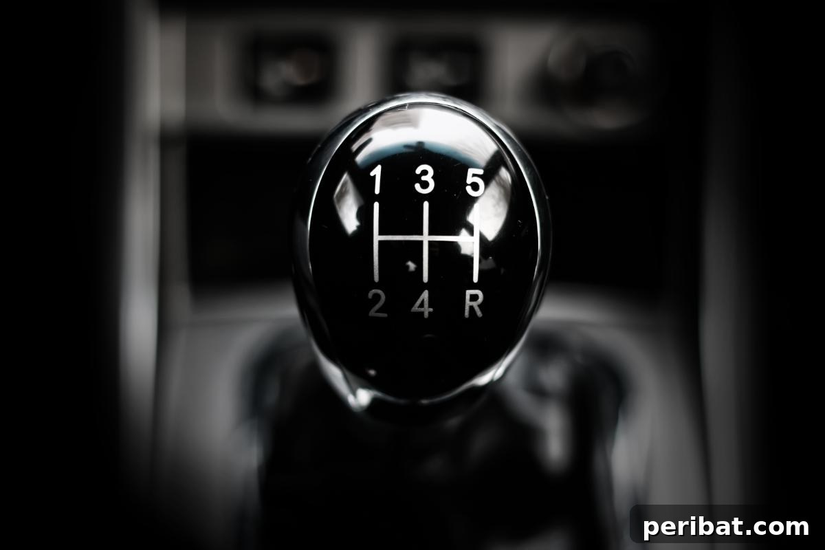 Master 28 Vital Life Skills in Days 29 Hand on a stick shift knob in a car with manual transmission