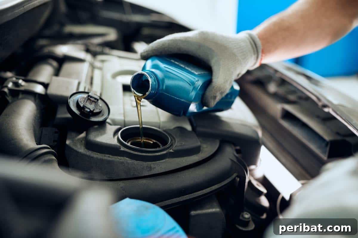 Master 28 Vital Life Skills in Days 8 Checking car oil level during routine maintenance
