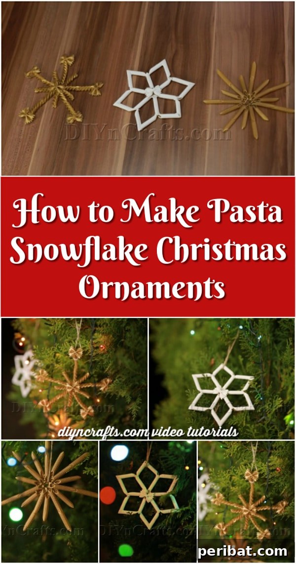 Dazzling Pasta Snowflake Christmas Ornaments 32 Pinterest logo