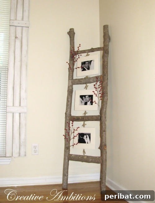DIY Rustic Home Decor Creations 41 Rustic Photo Ladder - 40 Rustic Home Decor Ideas You Can Build Yourself