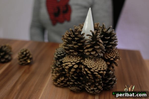 Step 6: Adding more layers, gradually using smaller pinecones