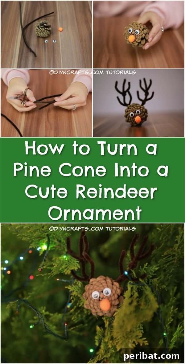 Pine Cone Reindeer craft for Pinterest