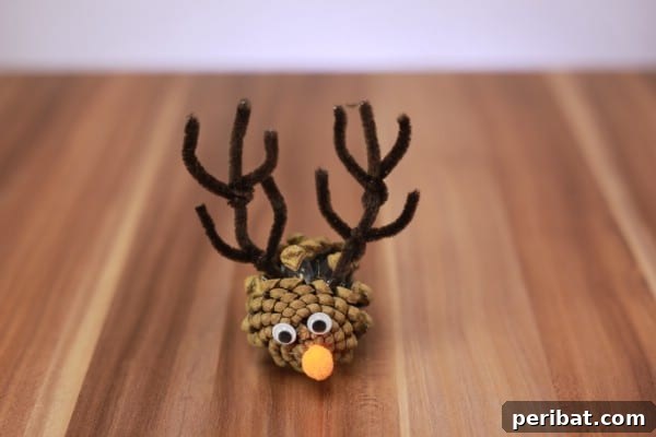 How to Turn a Pine Cone Into a Cute Reindeer
