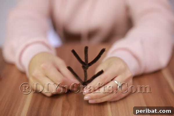 Step 2: Antler formation example