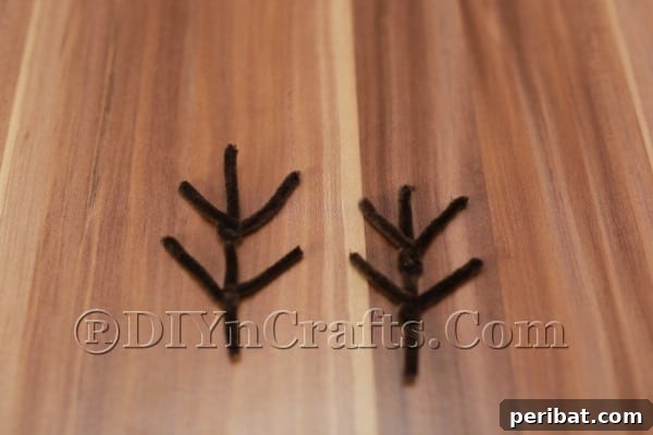 Step 3: Second antler formation