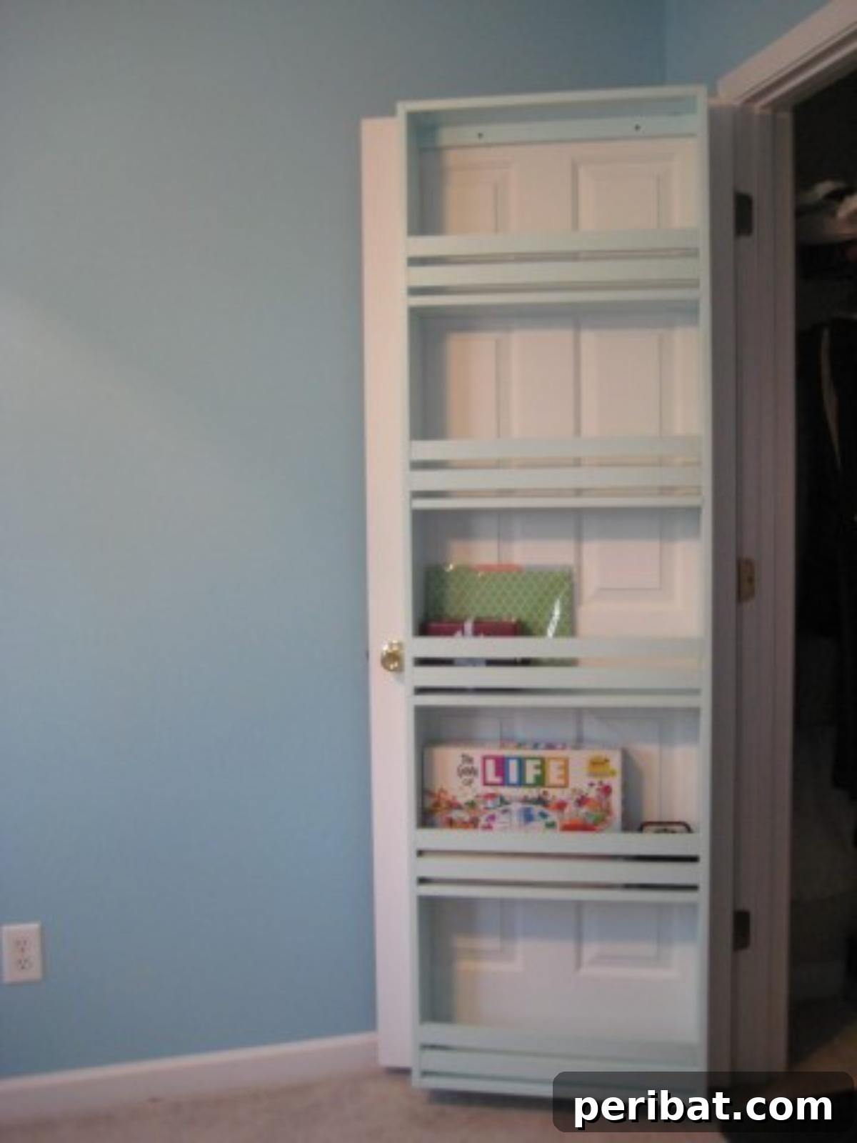 DIY Inside the Door Bookshelf