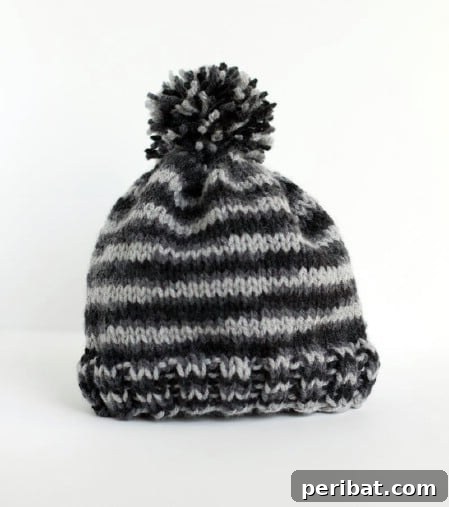 Kickstart Your Yarn Journey: 30 Simple Knit & Crochet Patterns 16 Knit Hat with Pom Pom - Beginner-Friendly Knitting Pattern